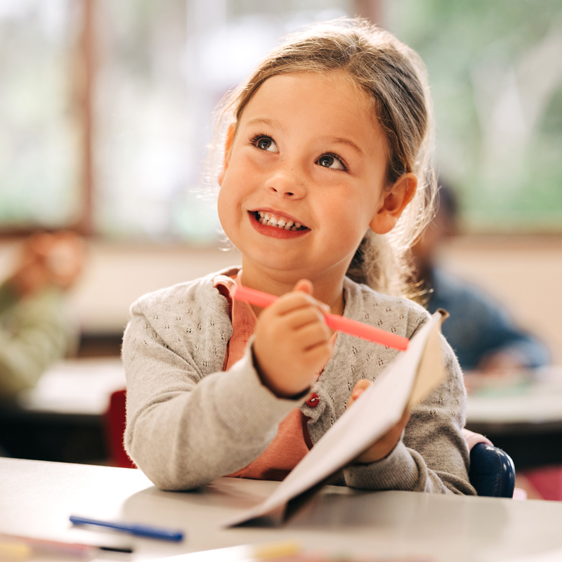 Bildungsmedien in der Primarstufe